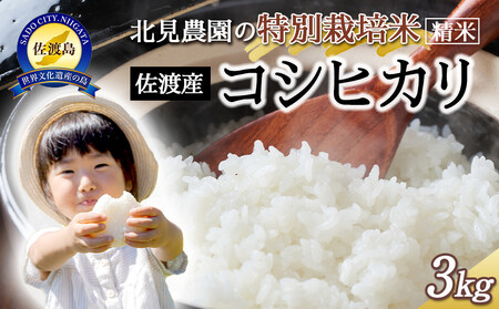 yߘa7NYzk_̓ʍ͔| ߘa7N nYRVqJ 3kg _Ǝ̈i 