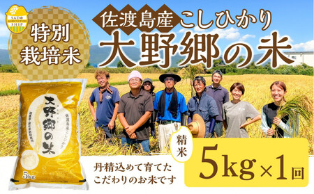 yߘa7NYznY ʍ͔|ĂЂu싽̕āv 5kg×P