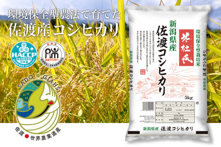  RVqJ nY ( 5kg ) ēmyߘa7Nāz