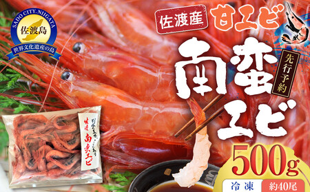 [先行予約][令和8年1月中旬以降発送]佐渡産 南蛮エビ(甘エビ)冷凍 500g(約40尾)