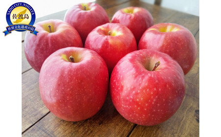 [先行予約]新潟佐渡産 りんご フジ 5kg