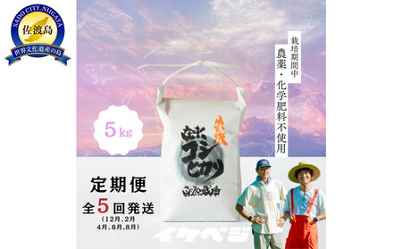 [定期便]新潟県佐渡産 令和7年産 [在来コシヒカリ] 玄米 5kg×全5回