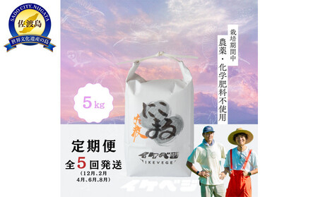 �y����ցz�V�������n�Y �ߘa7�N�Y �y�ɂ��܂�z ���� 5kg×�S5��