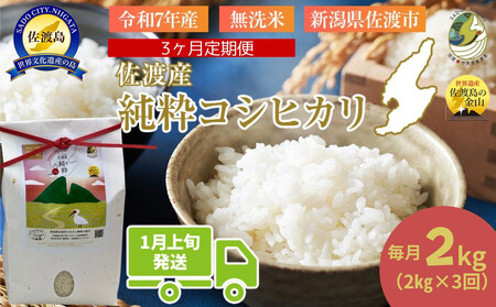 �������3�񁄁y�ߘa�V�N�Y�E���ʌ���z�V�������n�Y�̏����R�V�q�J���@���āy�����āz2kg×3��@���������@R8�N1����{�`R8�N3����{��3�񑗕t