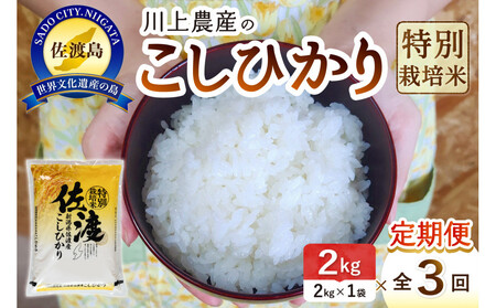 令和7年産 佐渡 川上農産のコシヒカリ 定期便（2kg×全3回）