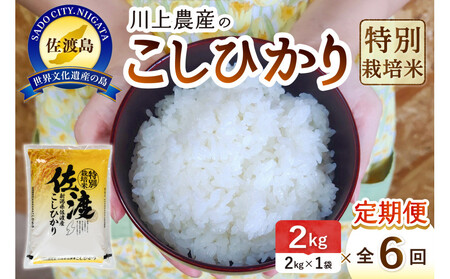 令和7年産 佐渡 川上農産のコシヒカリ 定期便（2kg×全6回）