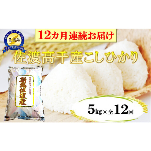 【定期便】佐渡産高千産こしひかり 精米5kg【12ヶ月連続お届け】