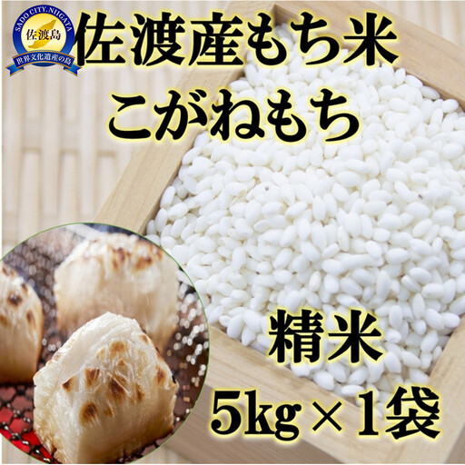 【令和7年産】佐渡産もち米 こがねもち 精米5kg×1袋