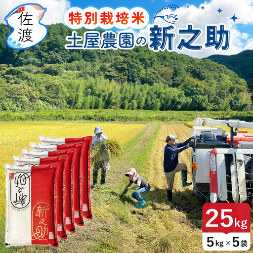 佐渡島産新之助 無洗米25Kg（5Kg×5袋） 土屋農園 特別栽培米令和7年産【食の宝島佐渡】