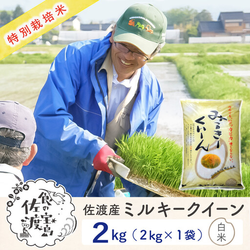 佐渡島産ミルキークイーン 白米2Kg 令和7年産 特別栽培米