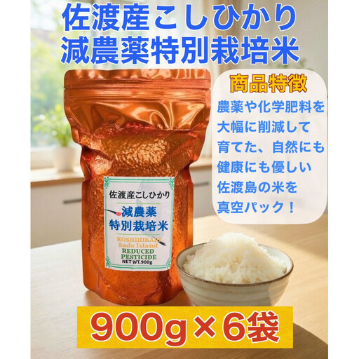 佐渡島産 減農薬特別栽培米こしひかり 真空パック 900g×6袋セット
