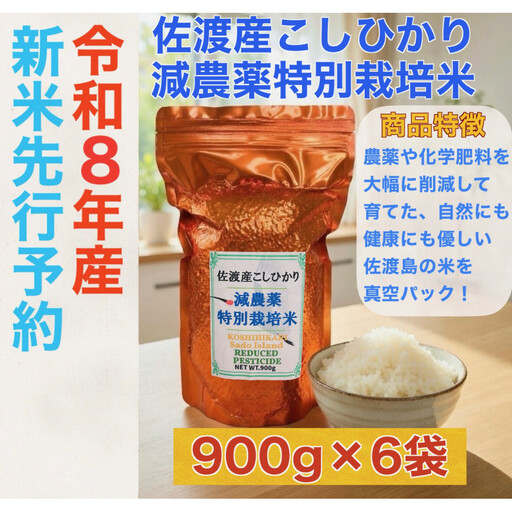【令和8年産新米・先行予約】佐渡島産 減農薬特別栽培米こしひかり 真空パック 900g×6袋セット