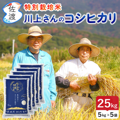 佐渡島産 川上さんのコシヒカリ 無洗米25kg 令和7年産 特別栽培米 【食の宝島佐渡】