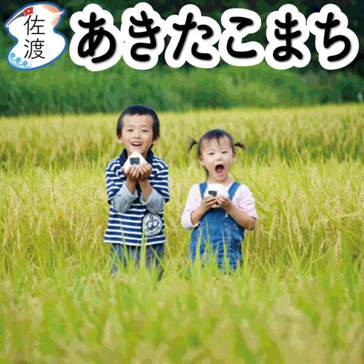 佐渡島産あきたこまち 無洗米5kg (5kg×1袋) 令和7年産 [食の宝島佐渡]