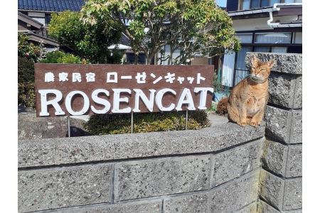 バラと猫に癒やされるローゼンキャット宿泊プラン（1名様）