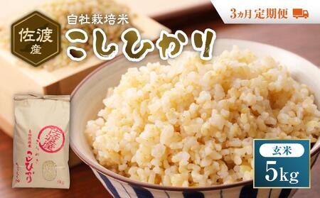 自社栽培米佐渡産こしひかり(玄米5kg)3カ月定期便
