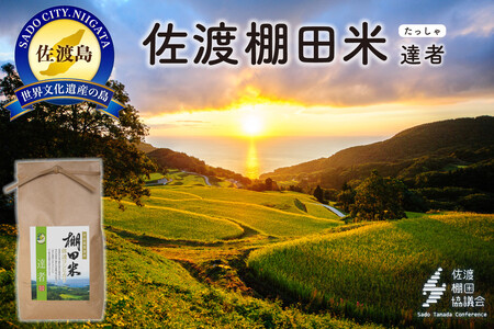 nYRVqJ BҒIc 4Kgi2Kg×2܁jyߘa7NYz