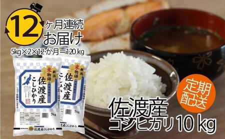 y12A͂zVĕꍲnYRVqJi10kgi5kg×2jj