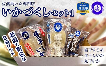 佐渡島いか専門店　いかづくしセット1　| 烏賊 いか 魚介類 佐渡 新潟 するめいか 干しいか 干物 干し物 ひもの 人気 おすすめ 烏賊 いか 魚介類 佐渡 新潟 するめいか 干しいか 干物 干し物 ひもの 人気 おすすめ 烏賊 いか 魚介類 佐渡 新潟 するめいか 干しいか 干物 干し物 ひもの 人気 おすすめ 烏賊 いか 魚介類 佐渡 新潟 するめいか 干しいか 干物 干し物 ひもの 人気 おすすめ 烏賊 いか 魚介類 佐渡 新潟 するめいか 干しいか 干物 干し物 ひもの 人気 おすすめ