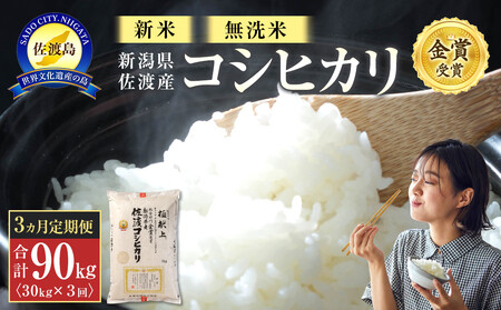 【新米・先行予約】無洗米30kg 新潟県佐渡産コシヒカリ30kg(5kg×6)×3回「3カ月定期便」