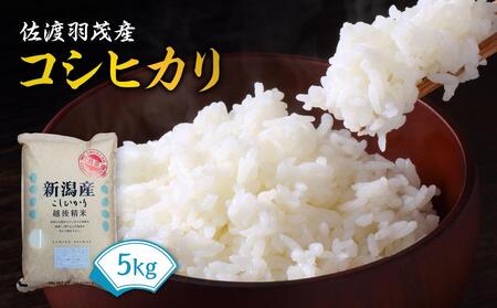 佐渡羽茂産コシヒカリ 5kg