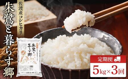 [先行予約]米 定期便 朱鷺と暮らす郷 佐渡産コシヒカリ ( 5kg × 全3回 ) 令和7年産[ 米 米 米 米 米 ]