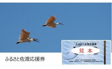 ※使用不可※ふるさと佐渡応援券　参