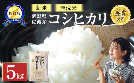 [新米・先行予約]新潟県佐渡産コシヒカリ[無洗米]5kg