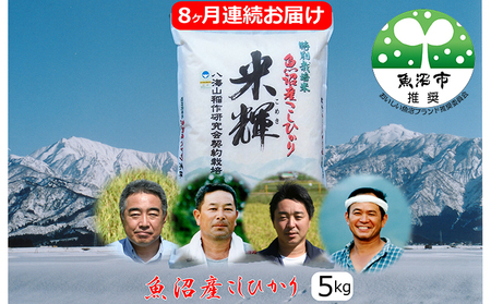 VF؁yʍ͔|āzYЂ 5kg 8A͂  RVqJ