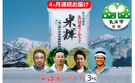 新潟県認証[特別栽培米]魚沼産こしひかり3kg 4ヶ月連続お届け