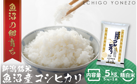 令和6年産 魚沼産コシヒカリ(精米)5kg お米 白米 ご飯 ブランド米 銘柄米 おにぎり お弁当 和食 産地直送 粘り モチっと食感 上品な甘み