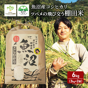 [令和7年産 新米先行受付]ツバメの飛び交う棚田米 精米6kg(3kg×2袋) 米 こめ お米 コメ こしひかり コシヒカリ 精米 新潟県 魚沼市 魚沼