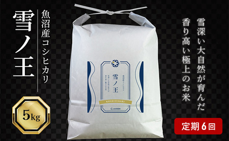 6 YRVqJ m 5kg×6   Ђ   V