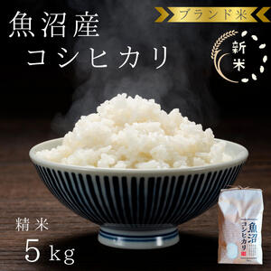[令和7年産 新米先行受付]ブランド米 魚沼産コシヒカリ 精米 5kg 米 コメ こめ お米 おこめ 白米 こしひかり 新潟県産 人気 お取り寄せ