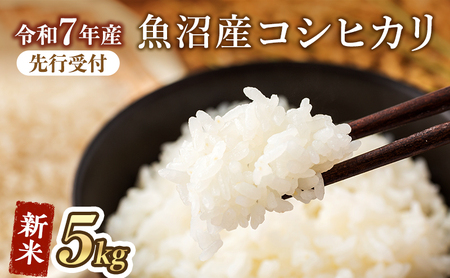 [令和7年産 新米先行受付]魚沼産コシヒカリ(精米)5kg 米 お米 こめ こしひかり 白米 新潟県 魚沼市 魚沼