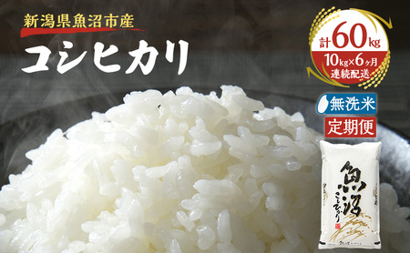 yցFፑi    10kg×6zz㋛    YRVqJ