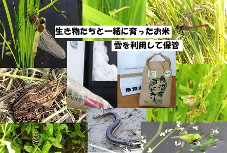 yuhz5kgyL@͔|EԌnۑSEĐ\GlM[EGRt@[}[EYHǗzYRVqJ