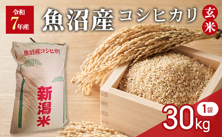 ߘa7NY@ā@YRVqJ@30kg@1