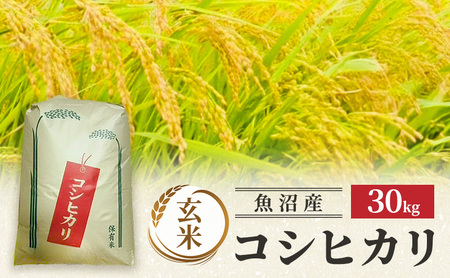 yߘa7NYzYRVqJ()30kg  R Ђ uh  s