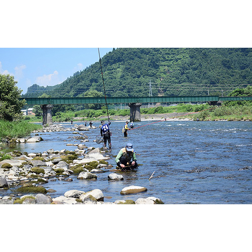 遊漁年券A2あゆ 竿釣(コロガケ、ルアー、餌、毛鉤釣りのみ)(但し魚沼漁業協同組合の範囲内に限ります)