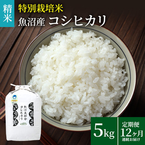 米農家自慢の 特別栽培米 魚沼産 コシヒカリ(精米)5kg×1袋 12ヶ月連続お届け