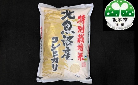 [令和5年産][特別栽培米]北魚沼産コシヒカリ(精米)5kg