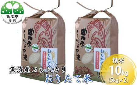 ߘa7NY YRVqJ 肽ĕ iāj10kgi5kg×2j 