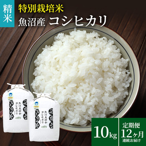 米農家自慢の特別栽培米魚沼産コシヒカリ(精米)10kg(5kg×2袋) 12ヶ月 連続お届け