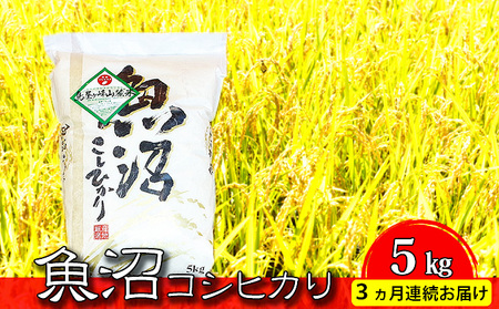 RVqJ R[āiāj5kg 3A͂  VY