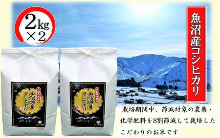 令和6年産 安心・おいしい![8割節減栽培]魚沼産コシヒカリ 精米 4kg(2kg×2) お米 新潟県産