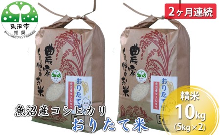 yցzYRVqJ 肽ĕ 10kgi5kg×2j 2A  2