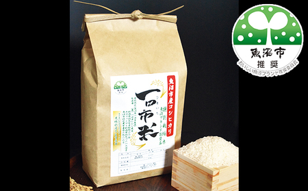 [令和7年産 新米先行受付]魚沼市産コシヒカリ一日市米(精米)3kg お米 ライス ご飯 主食 新潟県産 産地直送