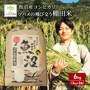 令和6年産 ツバメの飛び交う棚田米 精米6kg(3kg×2袋) お米 白米 ライス ご飯 ブランド米 銘柄米 コシヒカリ 魚沼産コシヒカリ 旨味 新潟県産 魚沼市産
