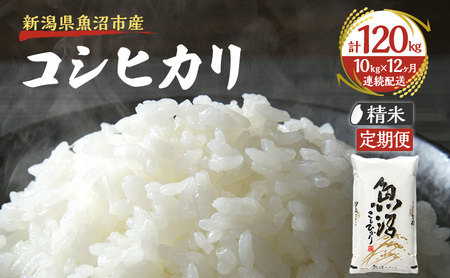 yցFፑi 10kg×12zz㋛ YRVqJ  l Ra ~l  R wJ   S ɏ
